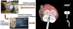 Development and characterization of the InVesalius Navigator software for navigated transcranial magnetic stimulation